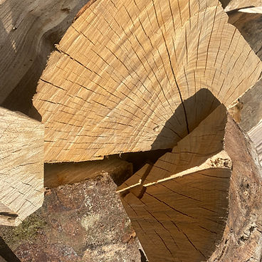 13b3ca_e16660174e7d4837a3a726461e5469bb~mv2