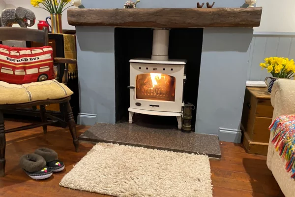 UK government to ban wet wood for burning stoves